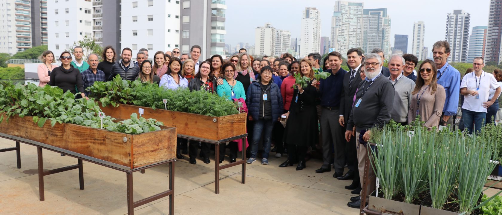 Projeto Horta Solidária