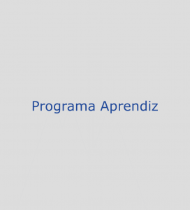 Programa Aprendiz