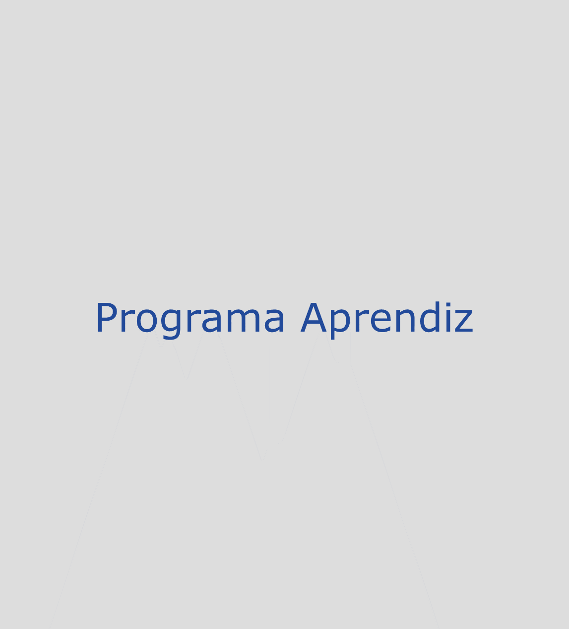 Programa Aprendiz