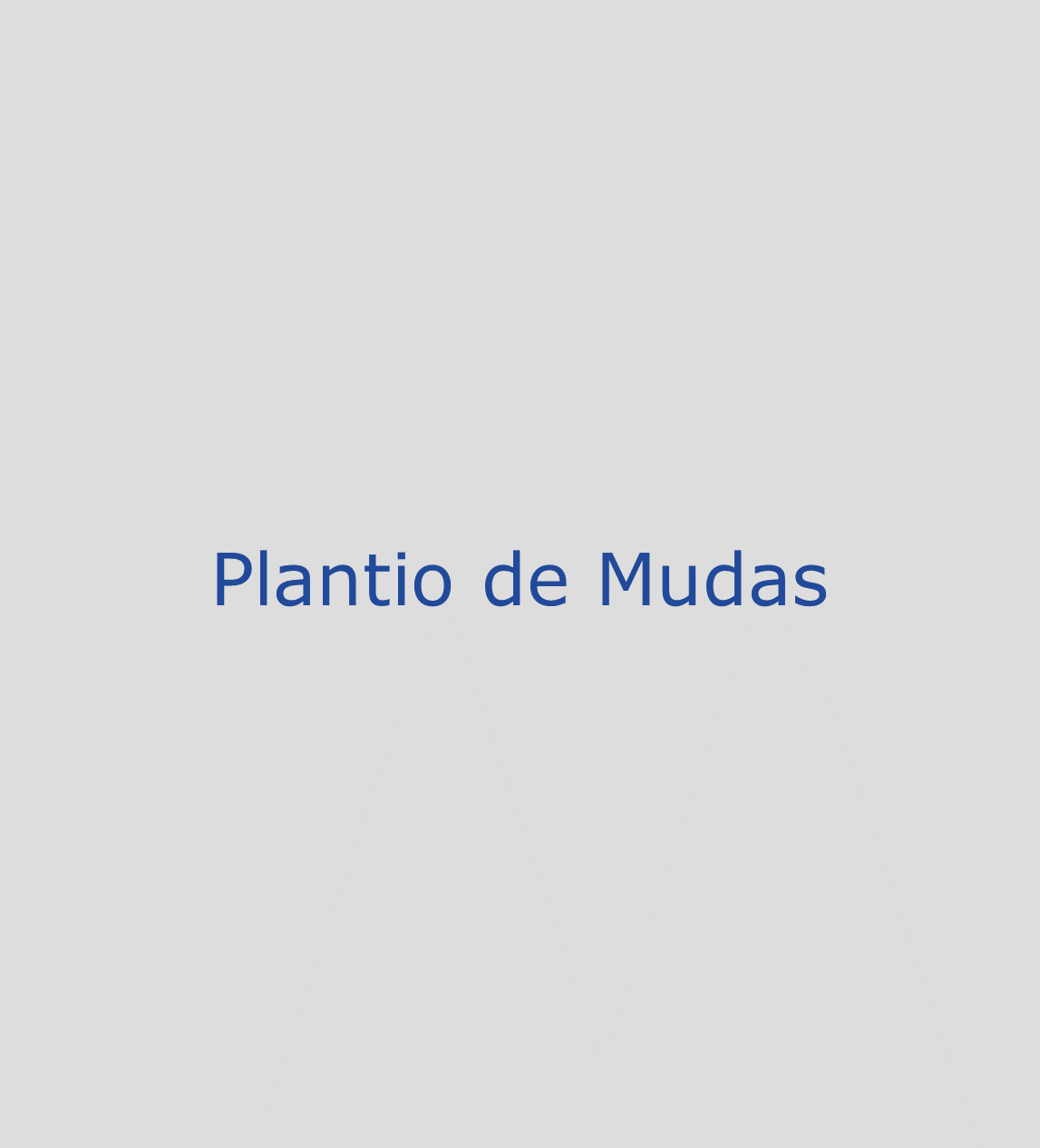 Plantio de Mudas